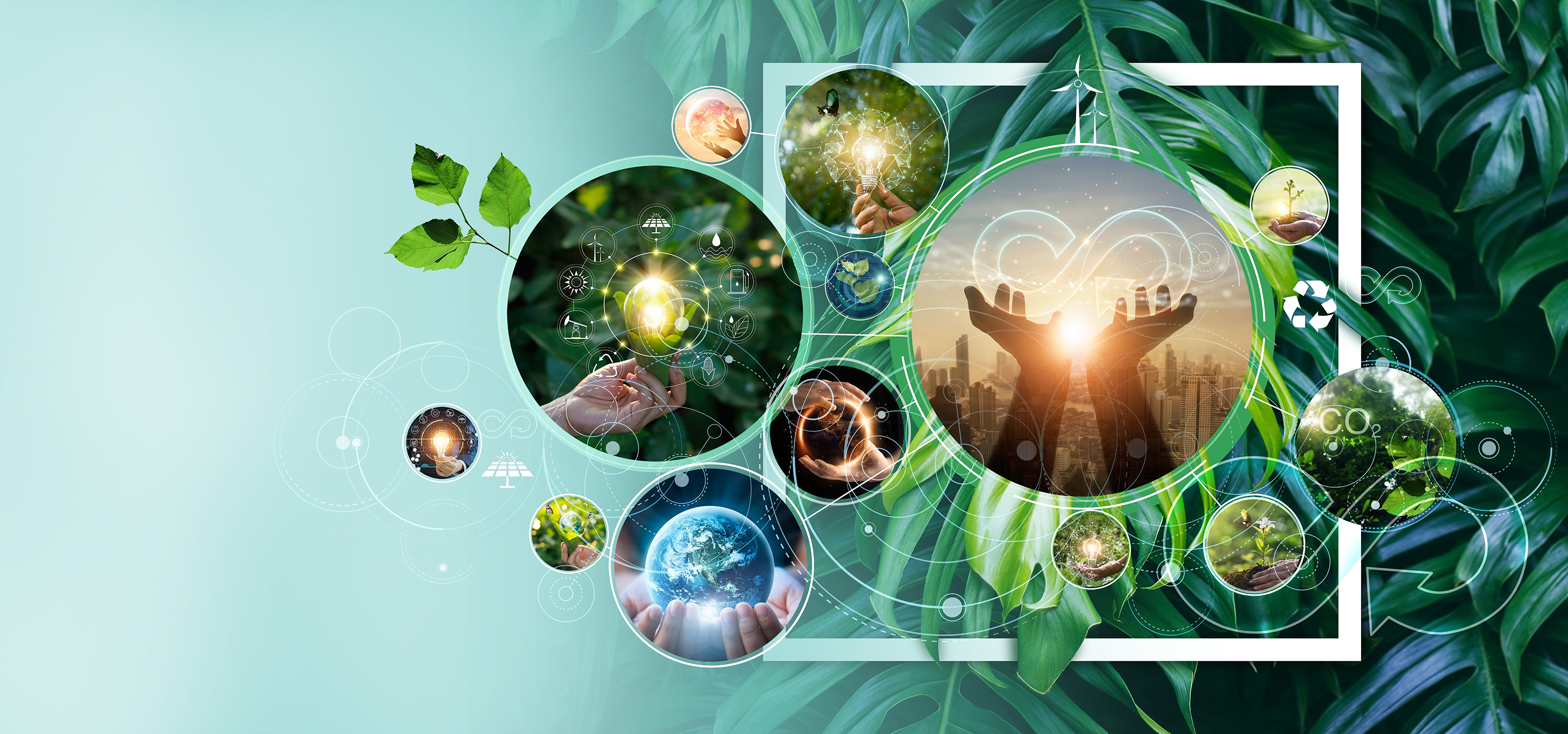 Recycling for the future world: Solar Panel and Lithium-ion Battery Recycling Solutions