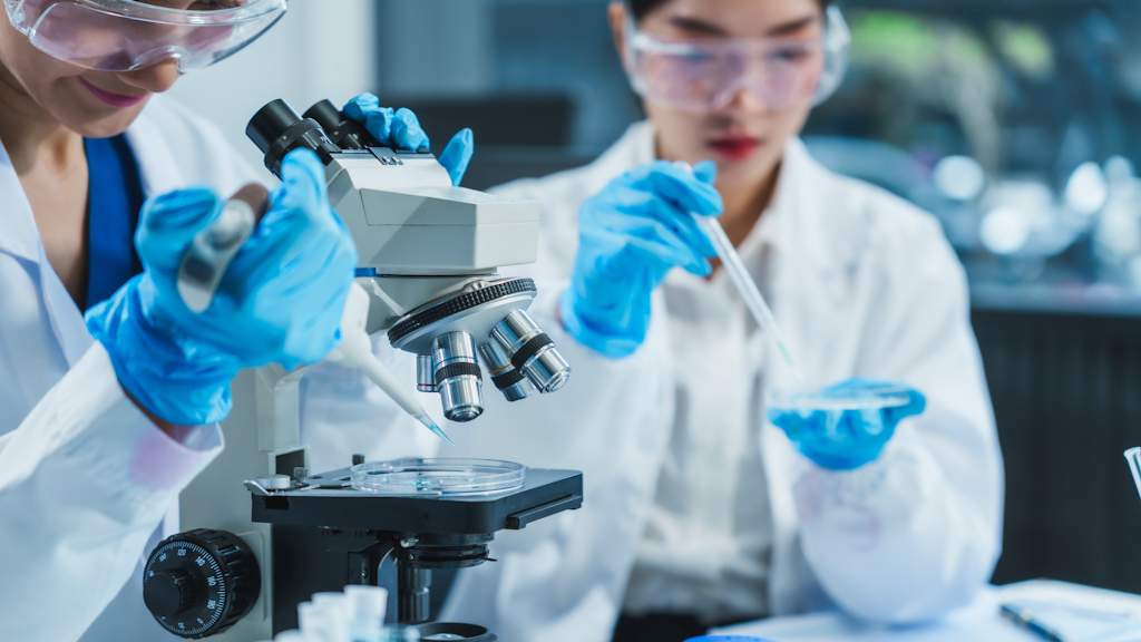 Chartered Scientist (CSci)