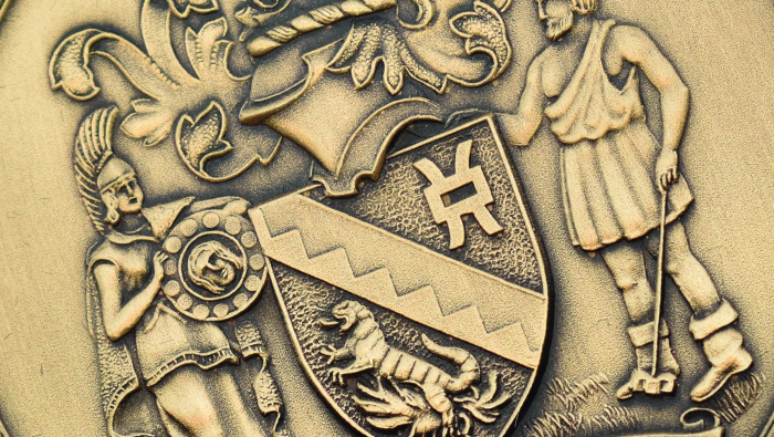 Services to the profession