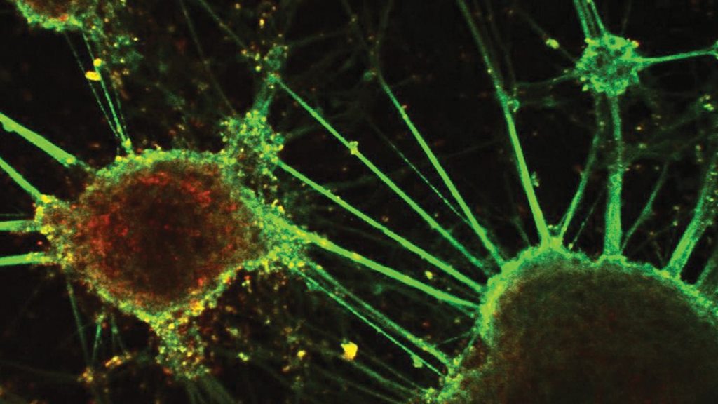 Biochemical Engineering