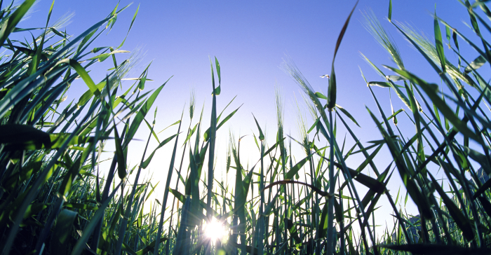 Environment and Clean Technology