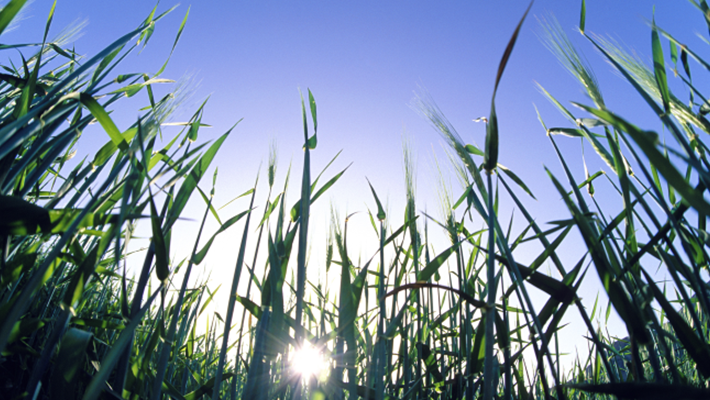 Environment and Clean Technology