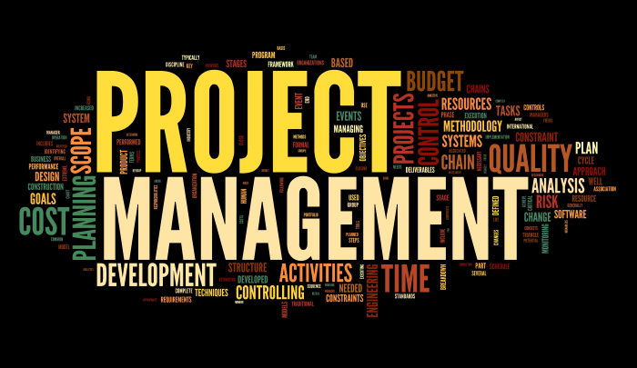 Dynamic Project Management with Cost and Schedule Risk Seminar 