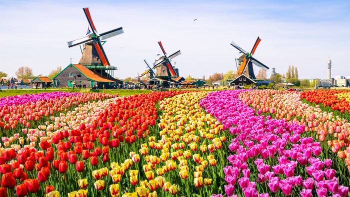 The Netherlands