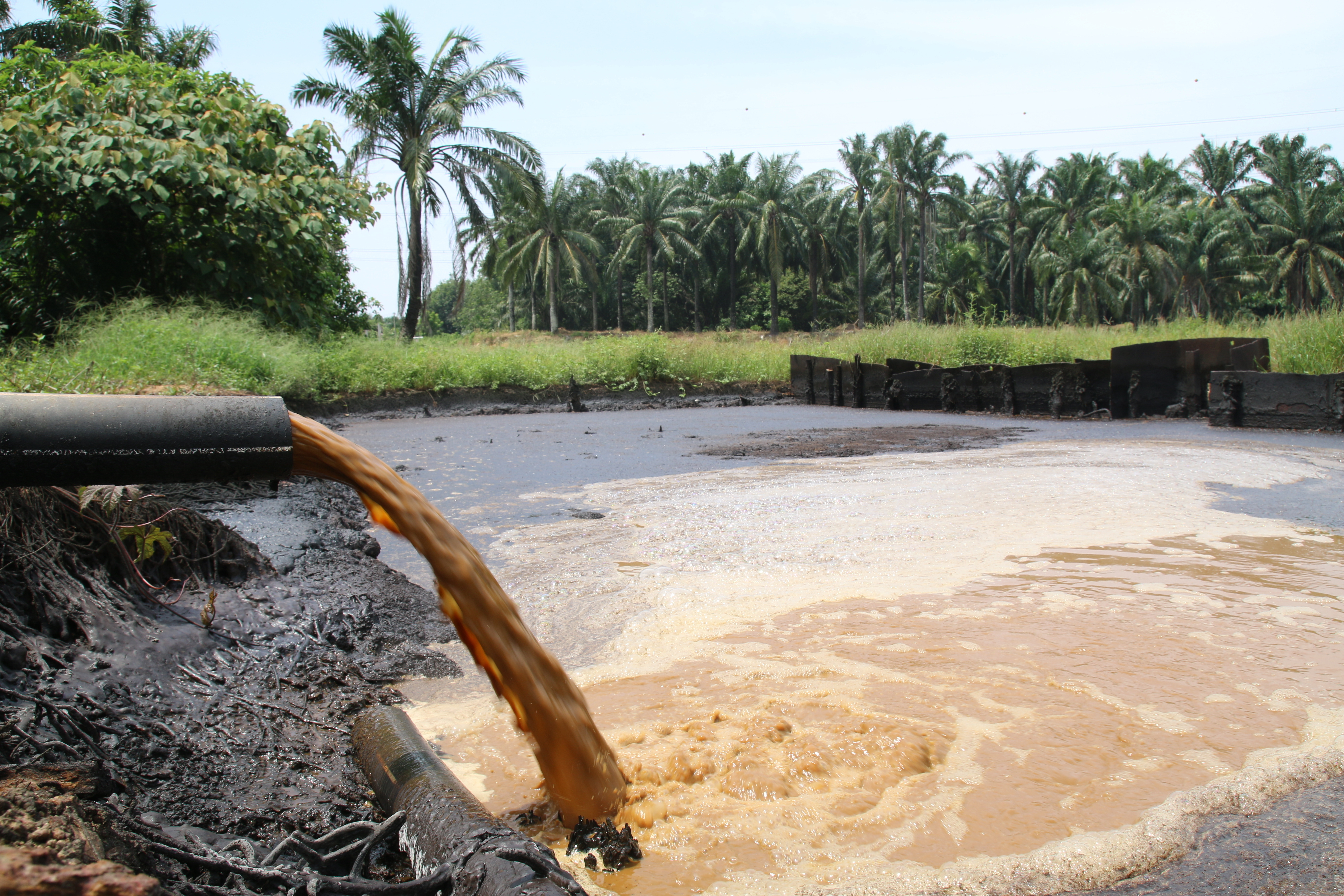 Integrated Anaerobic-Aerobic Bioreactor (IAAB) for Palm Oil Mill Effluent (POME) Treatment