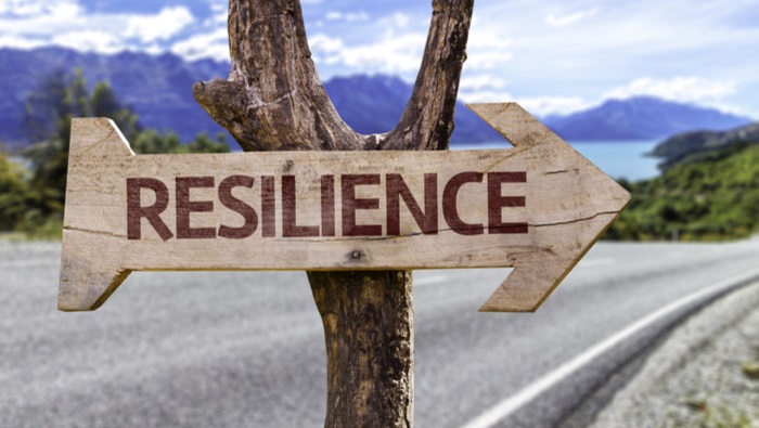 Building Resilience and Personal Effectiveness