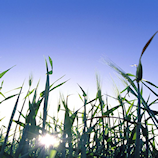 Announcement - First Webinar of ESIGs Air Quality Series