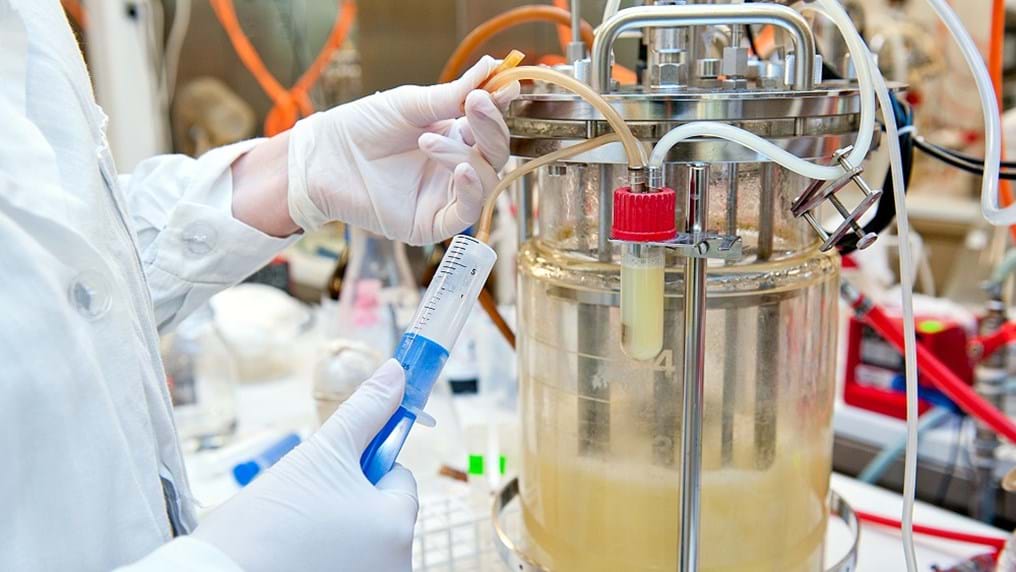 IChemE launches BioFutures report