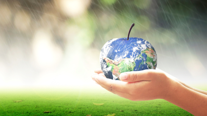 Future of Food & Drinks: Sustainability and Food Processing